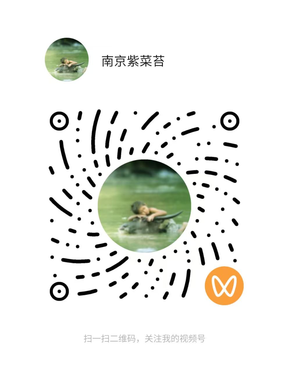 南京紫菜苔视频号二维码